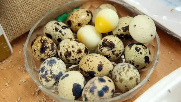 Verzichten Sie bei empfindlichen Personengruppen auf rohe Speisen mit Wachteleiern. Kochen Sie die Eier mindestens vier Minuten lang, um alle potenziellen Keime sicher abzutöten.