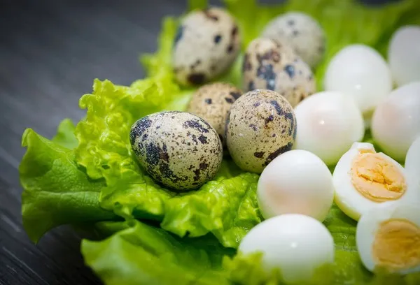 Verzichten Sie bei empfindlichen Personengruppen auf rohe Speisen mit Wachteleiern. Kochen Sie die Eier mindestens vier Minuten lang, um alle potenziellen Keime sicher abzutöten.