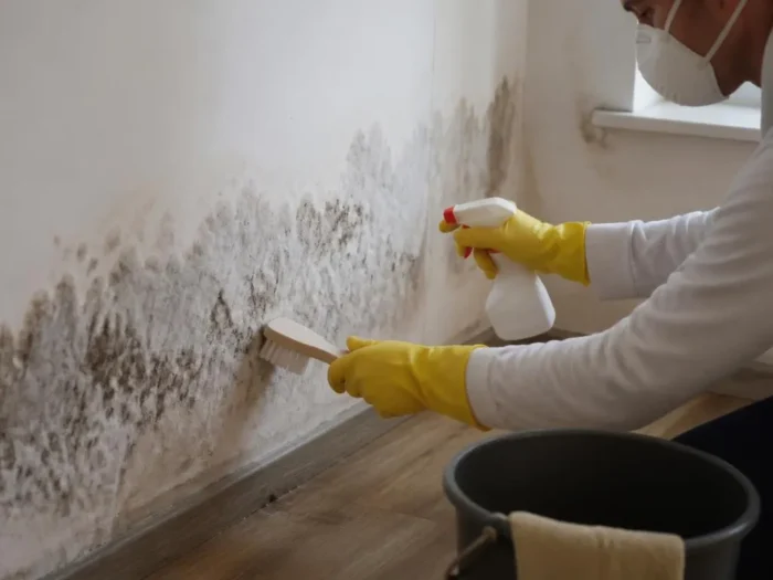 Jak skutecznie usunąć schimmel weißer flaum wand w Twoim domu